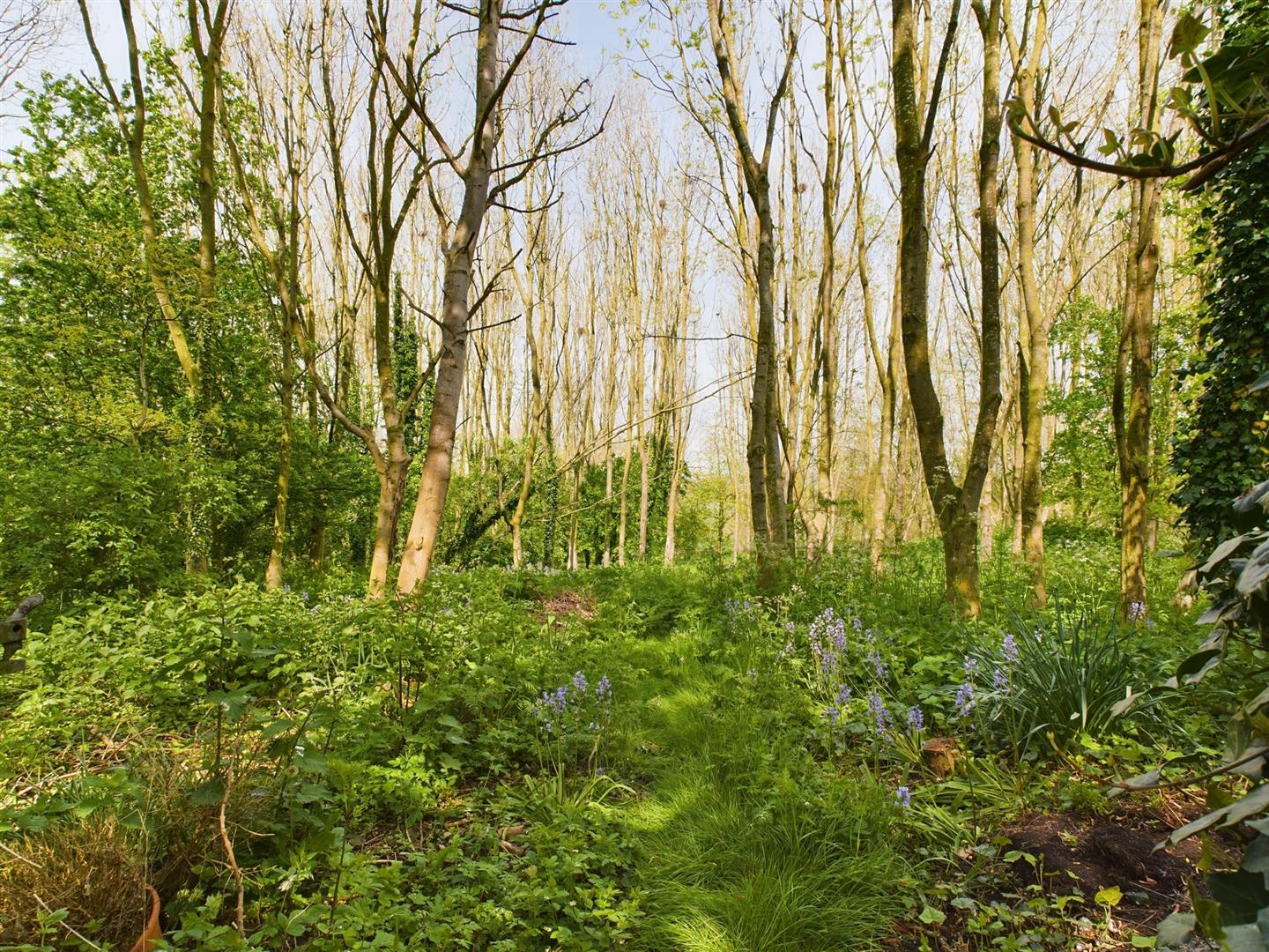 Folkton, Scarborough Belts Estate Agents